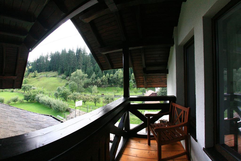 Pensiunea Casa Elvira Vama  Luaran gambar